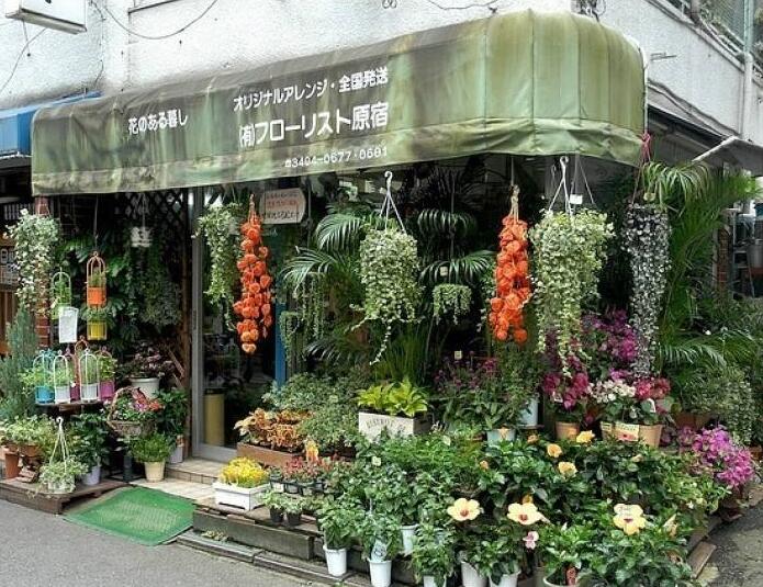 90后美女在閣樓開店鋪！房間太破，奇思妙想用各種植物來掩蓋